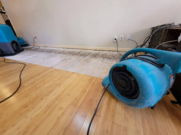 Professional Water Damage Repair technician working in Claremont, CA